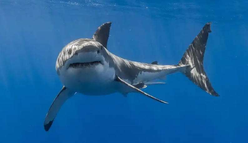 湖南肆叁壹壹貳陸商貿有限公司輪播圖3