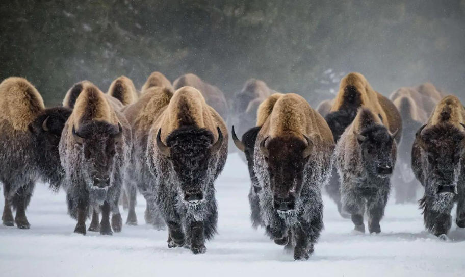 湖南肆叁壹壹貳陸商貿有限公司輪播圖5