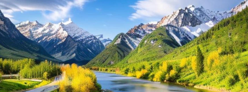 湖南肆叁壹壹貳陸商貿有限公司輪播圖1